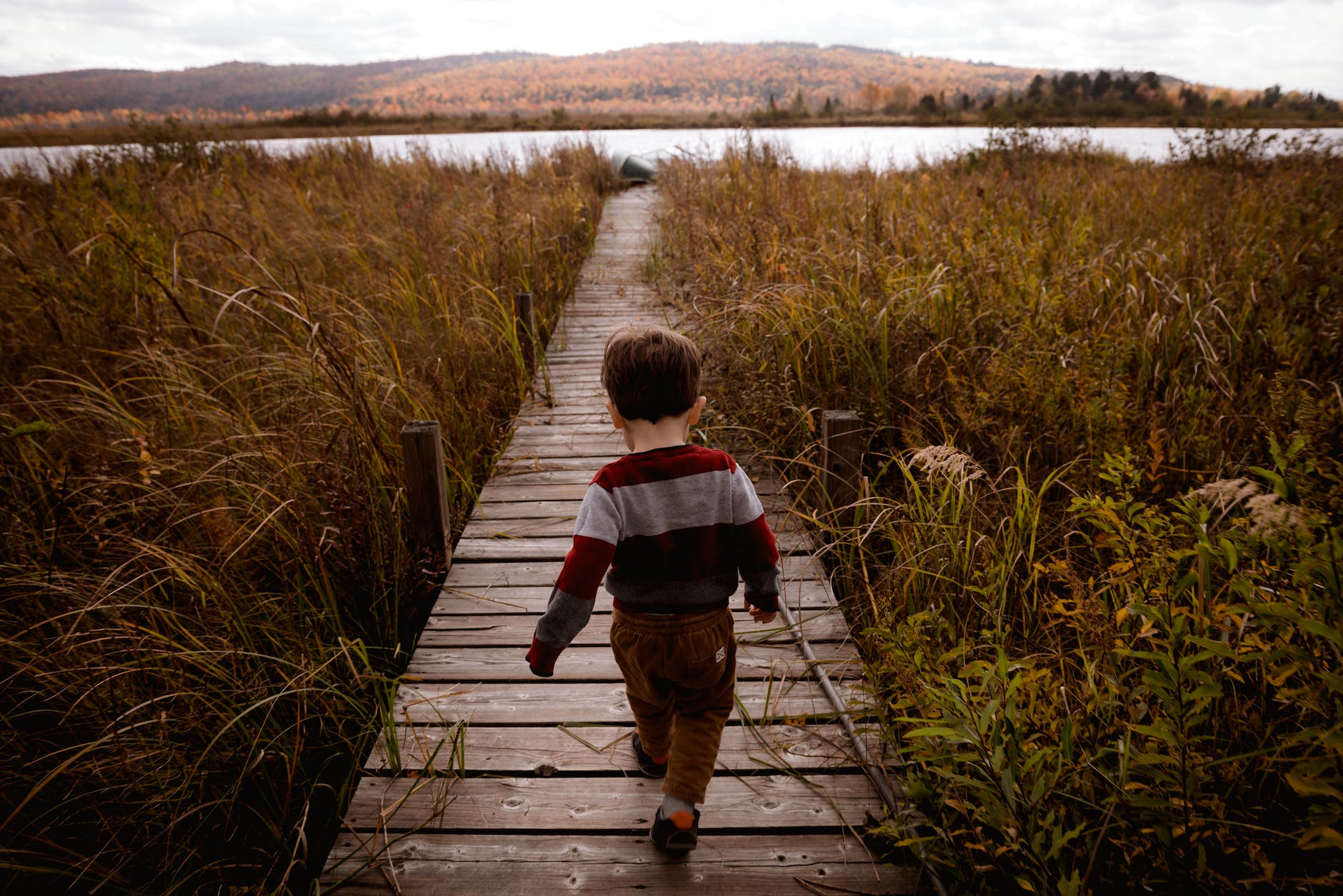 boy walking on wooden pathway beside plants during day
