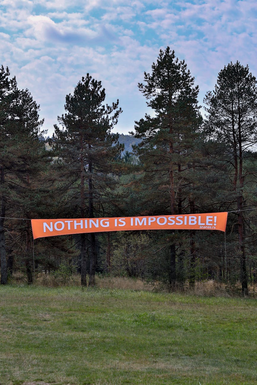 nothing is impossible banner over grassland in forest